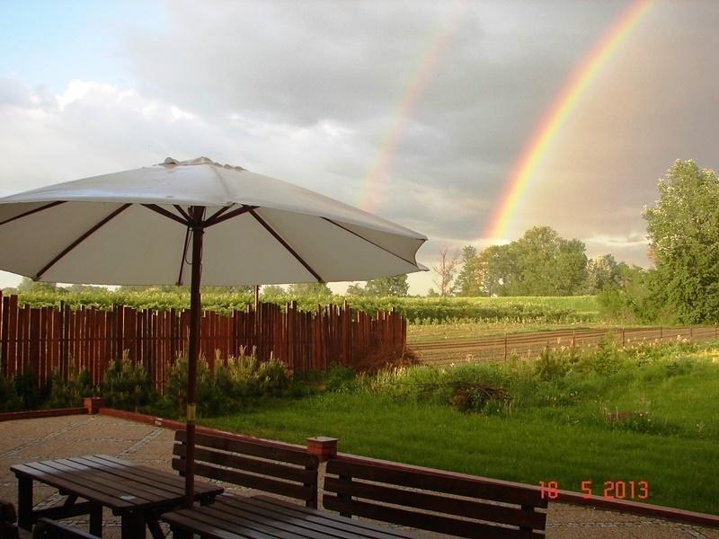 Bed and Breakfast Gosciniec Kocmierzow Sandomierz Esterno foto